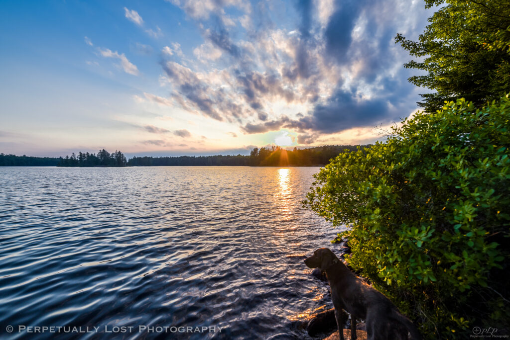 forked-lake-1