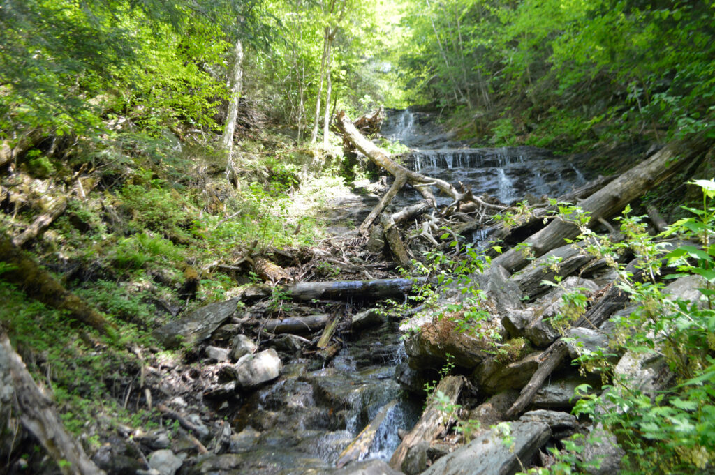 mount-greylock-5