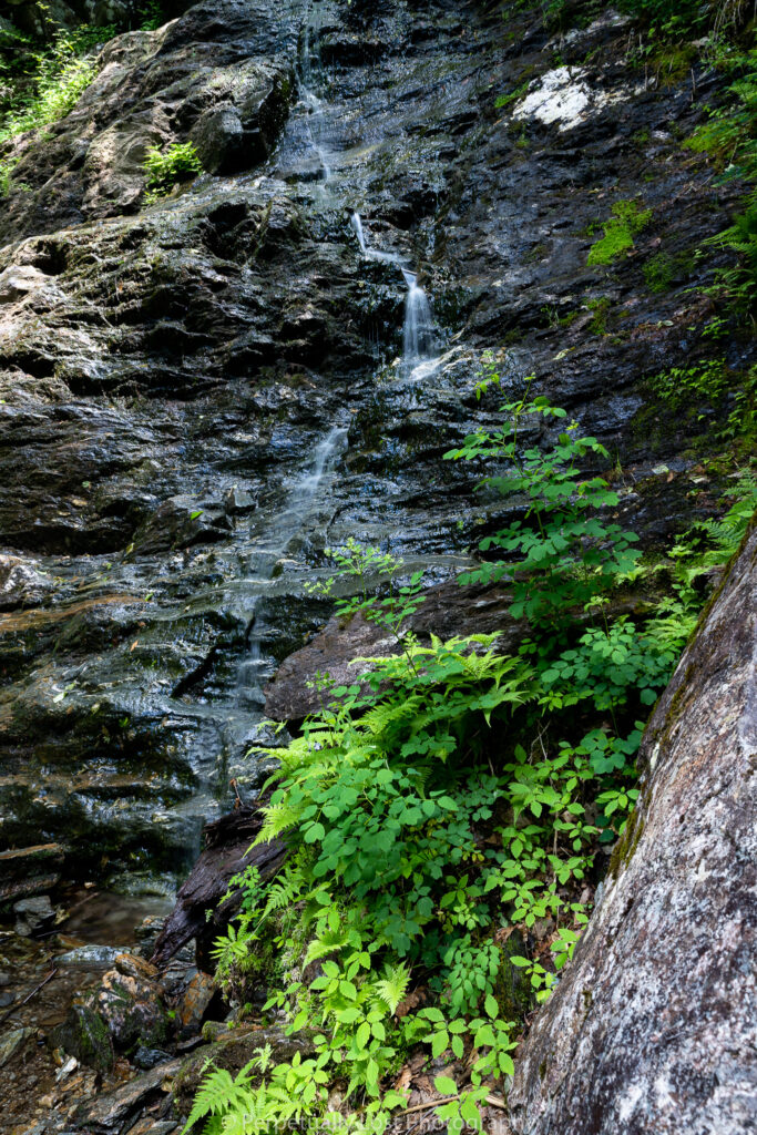 mount-greylock-6