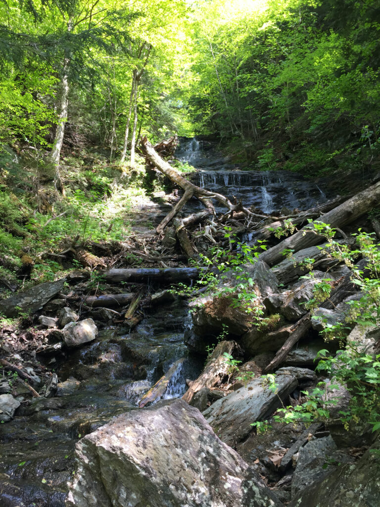 mount-greylock-8